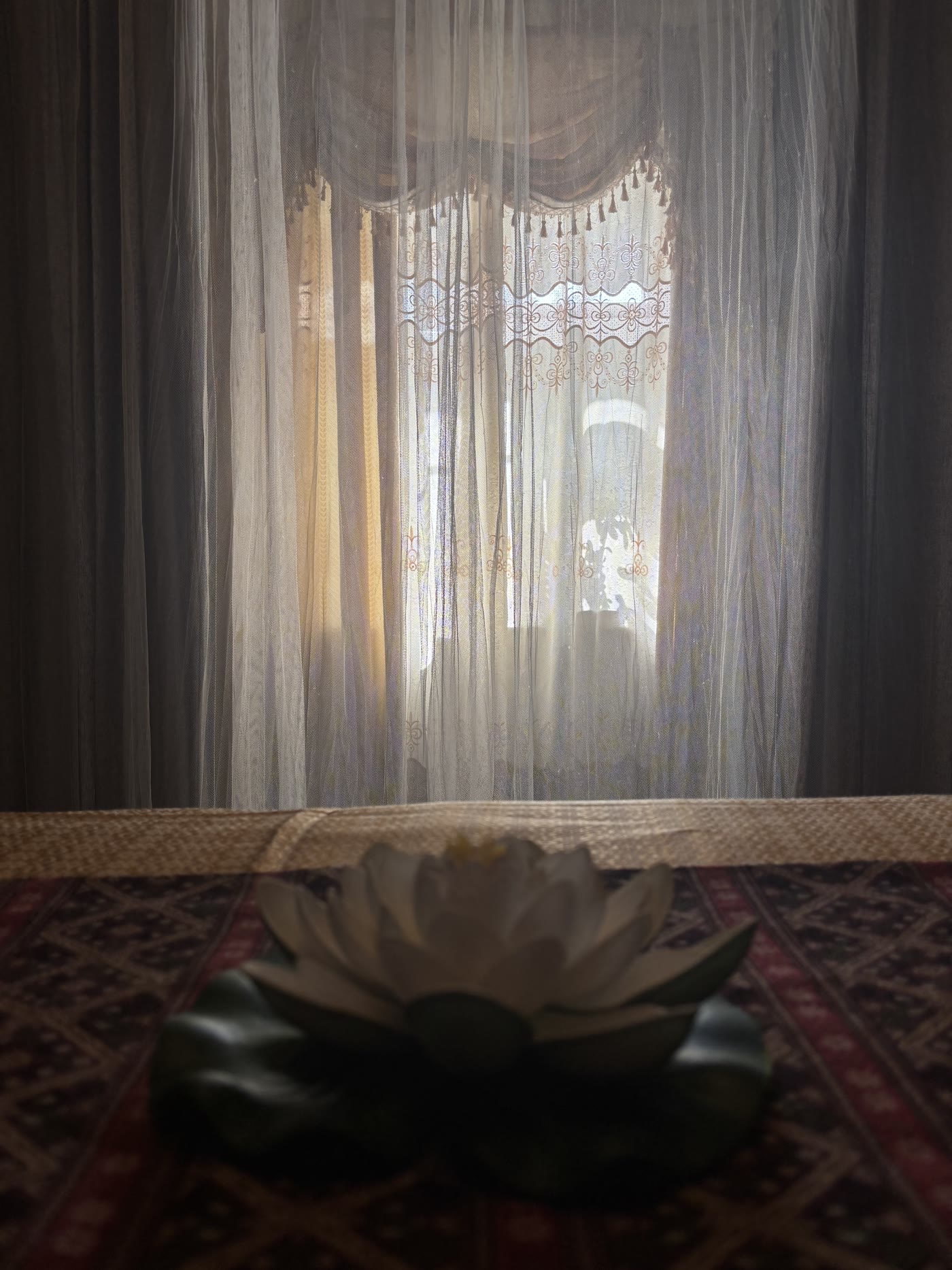A single white lotus flower on the treatment table in front of sheer, sunlit curtains
